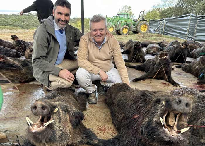 Resultado Montería San Marcos J 2024 Cabezas Servicios de Caza